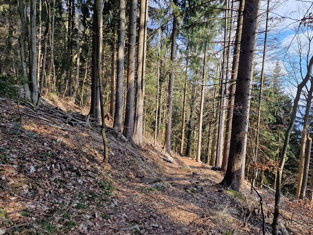 Jesenovo - Čemšeniška planina, 1. 3. 2026