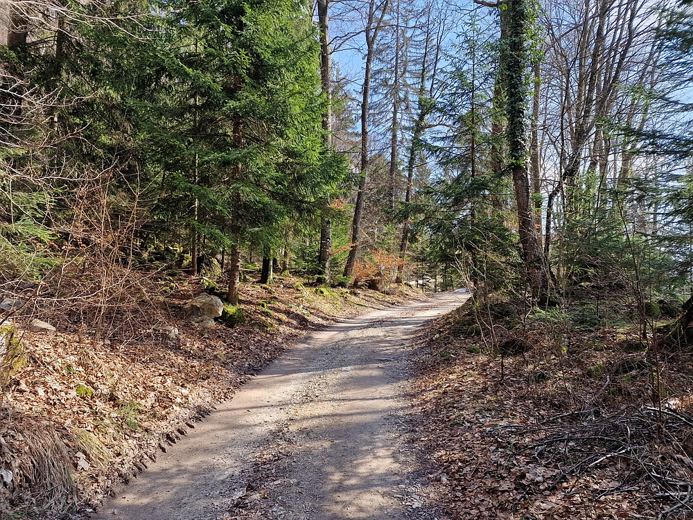 Jesenovo - Čemšeniška planina, 1. 3. 2026