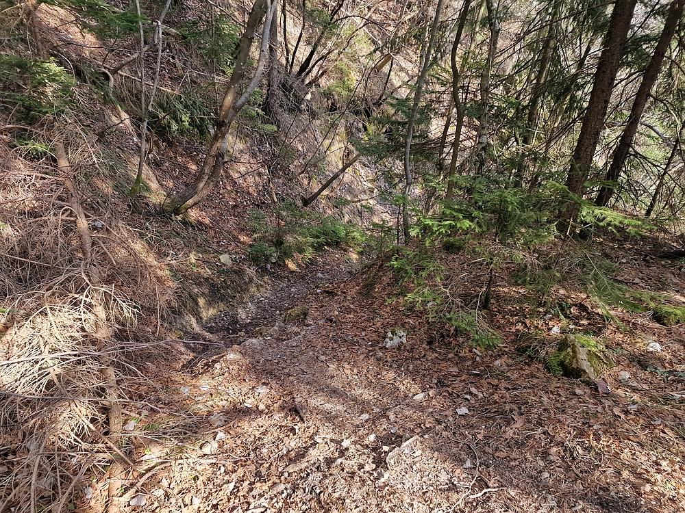 Jesenovo - Čemšeniška planina, 1. 3. 2026