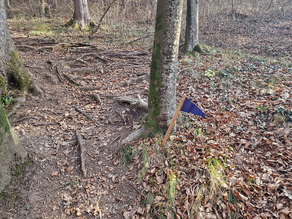 Kislica, Špičasti vrh, 8. 3. 2026