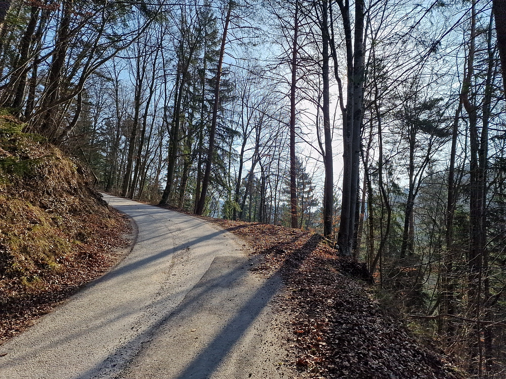 Kislica, Špičasti vrh, 8. 3. 2026