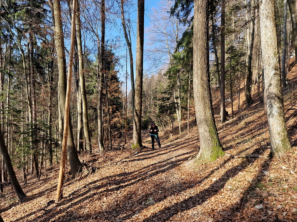 Kislica, Špičasti vrh, 8. 3. 2026