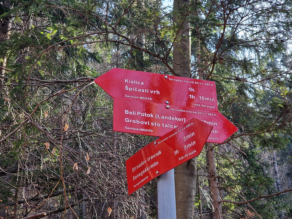 Kislica, Špičasti vrh, 8. 3. 2026