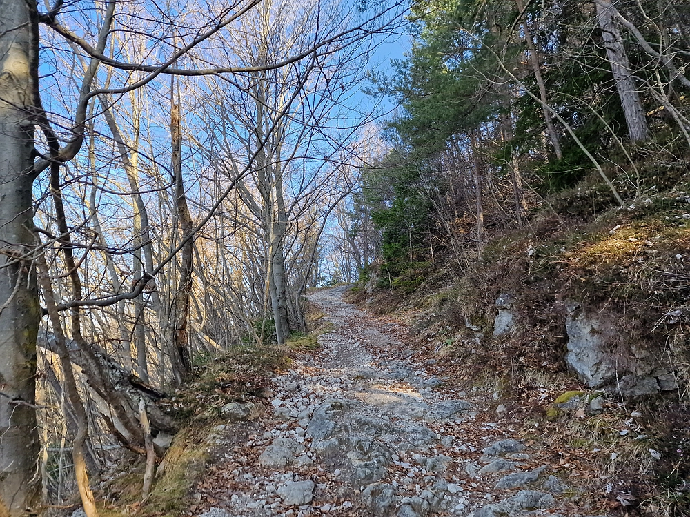 Kislica, Špičasti vrh, 8. 3. 2026