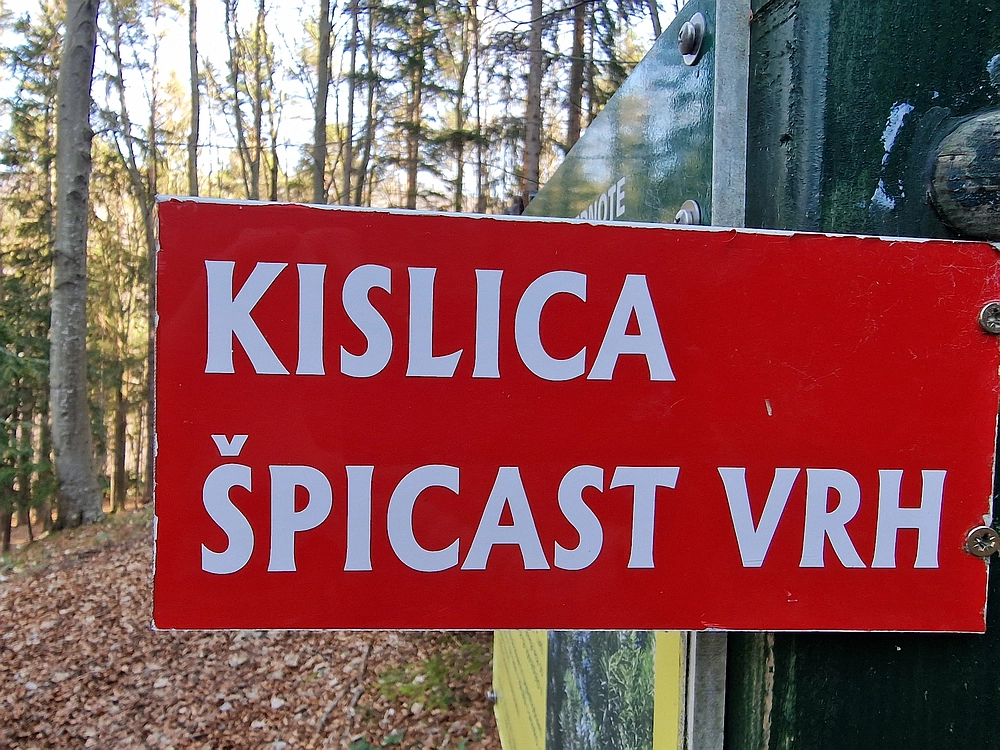 Kislica, Špičasti vrh, 8. 3. 2026