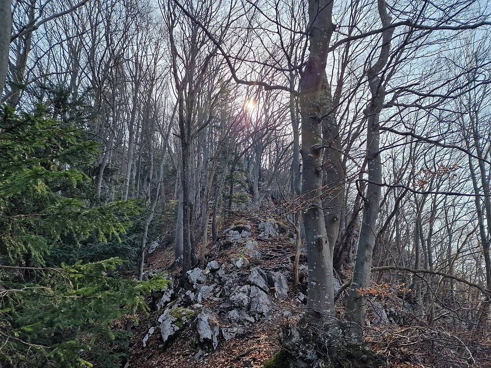 Kislica, Špičasti vrh, 8. 3. 2026