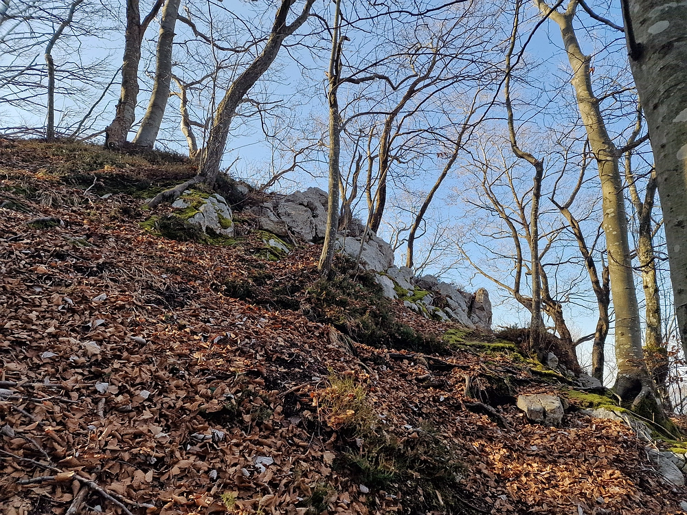 Kislica, Špičasti vrh, 8. 3. 2026