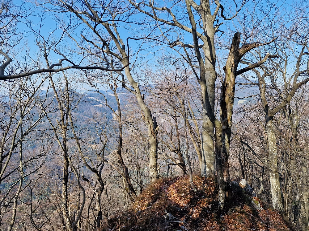 Kislica, Špičasti vrh, 8. 3. 2026