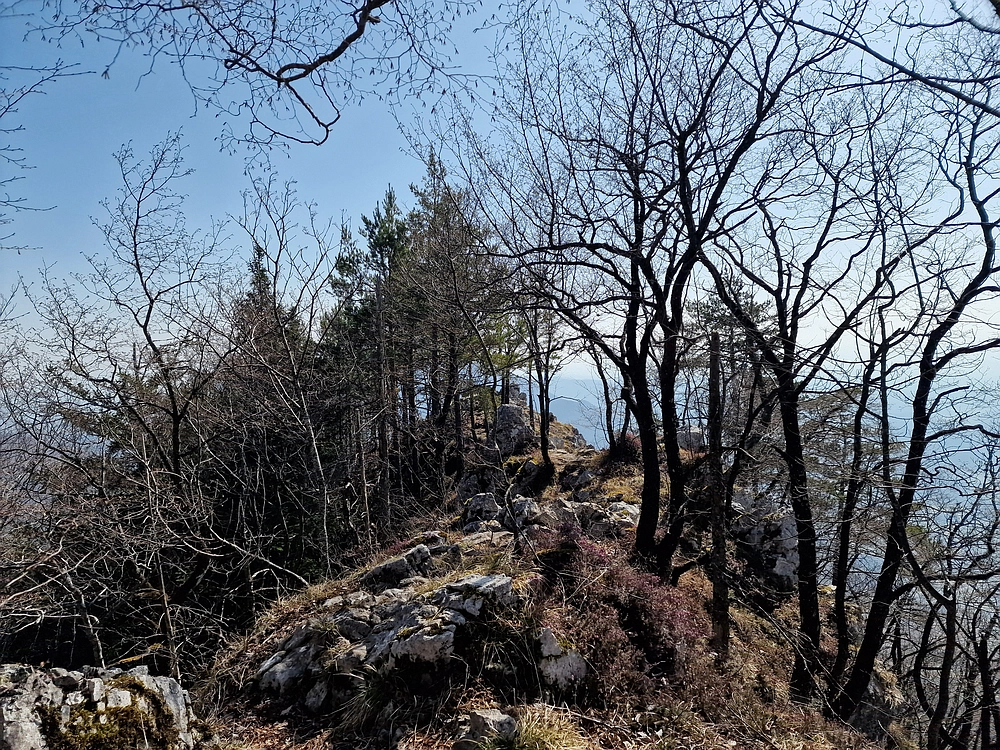 Kislica, Špičasti vrh, 8. 3. 2026