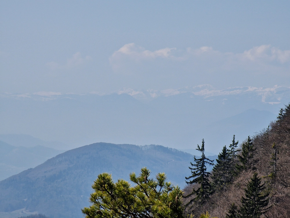 Kislica, Špičasti vrh, 8. 3. 2026