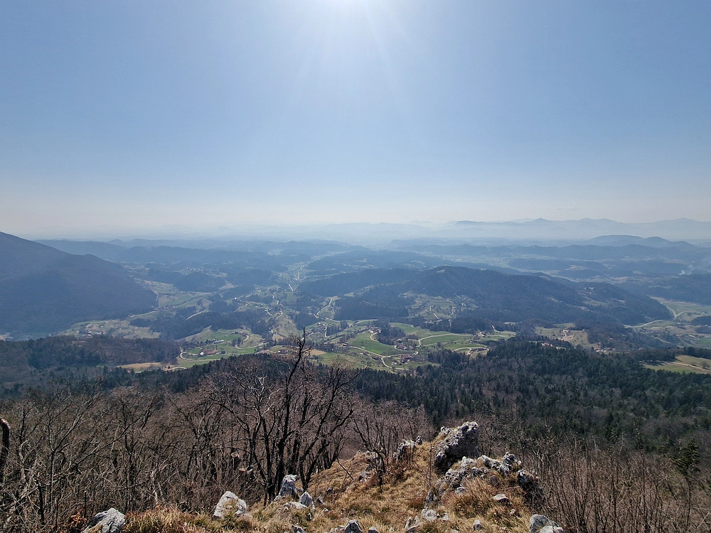 Kislica, Špičasti vrh, 8. 3. 2026