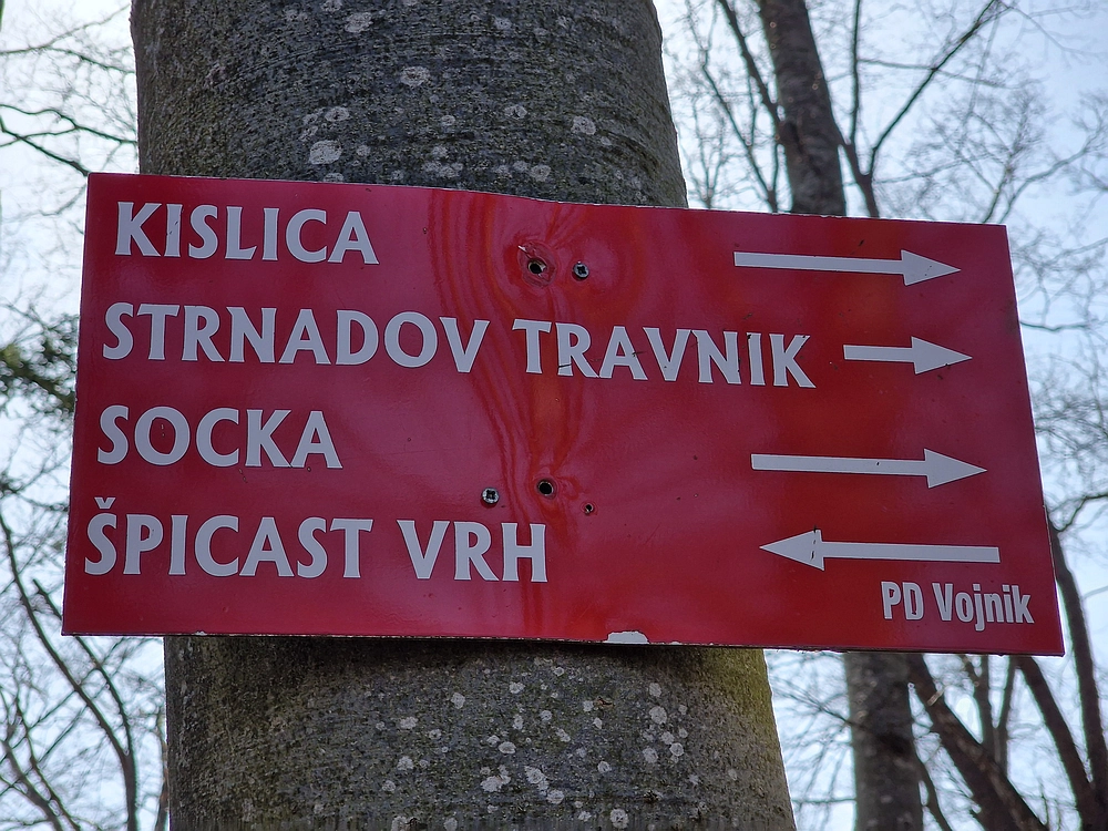 Kislica, Špičasti vrh, 8. 3. 2026