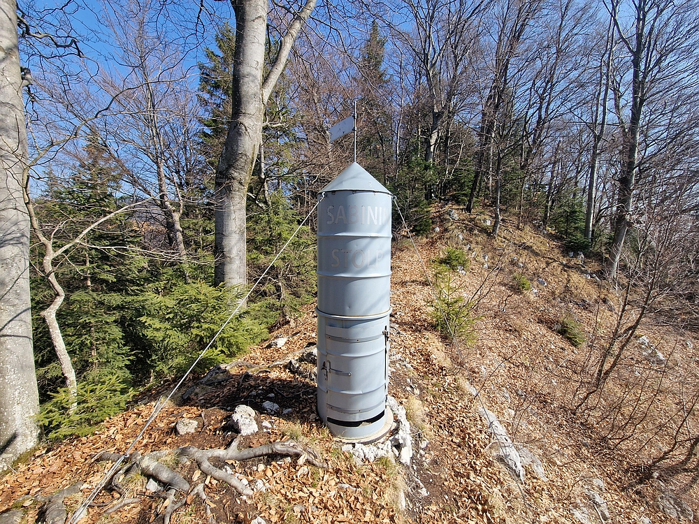 Kislica, Špičasti vrh, 8. 3. 2026