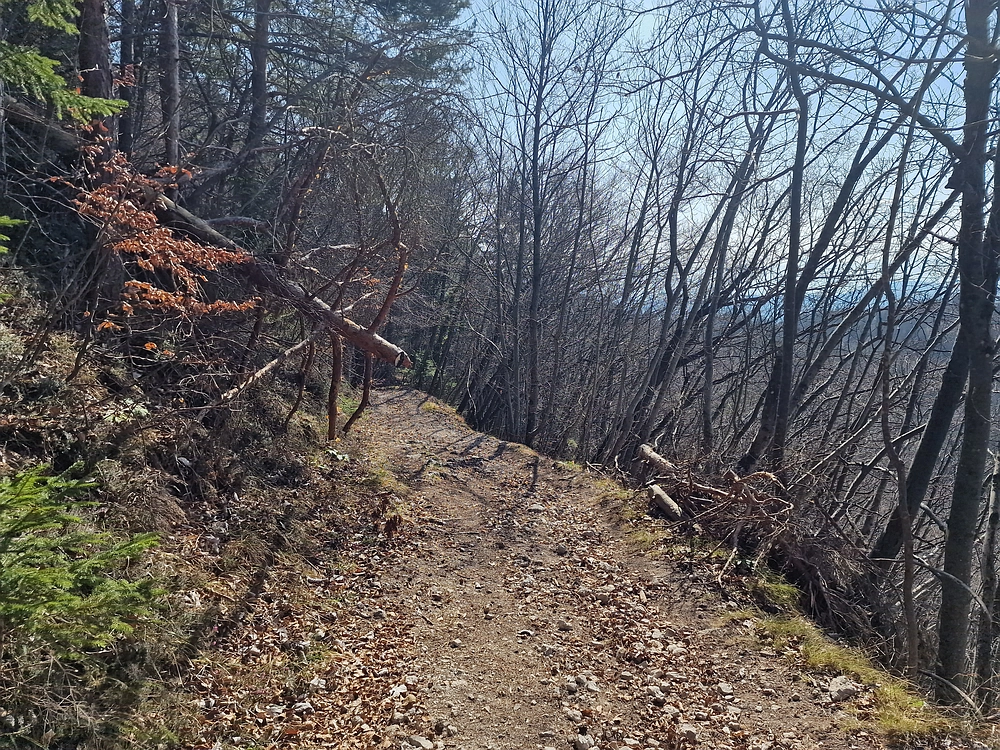 Kislica, Špičasti vrh, 8. 3. 2026