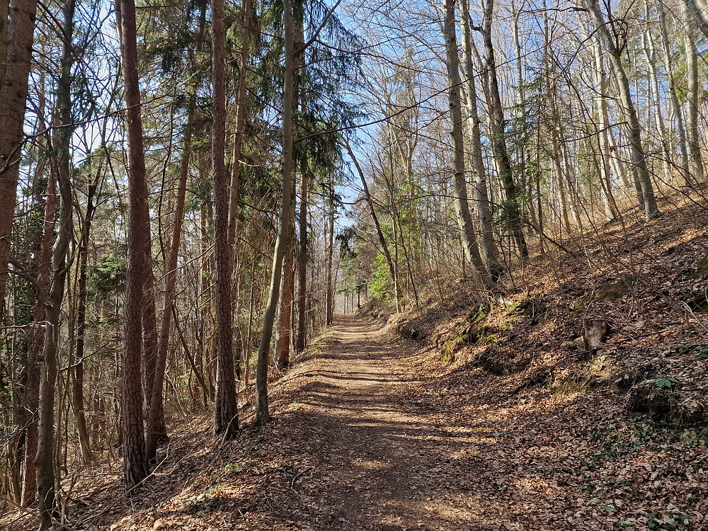 Kislica, Špičasti vrh, 8. 3. 2026