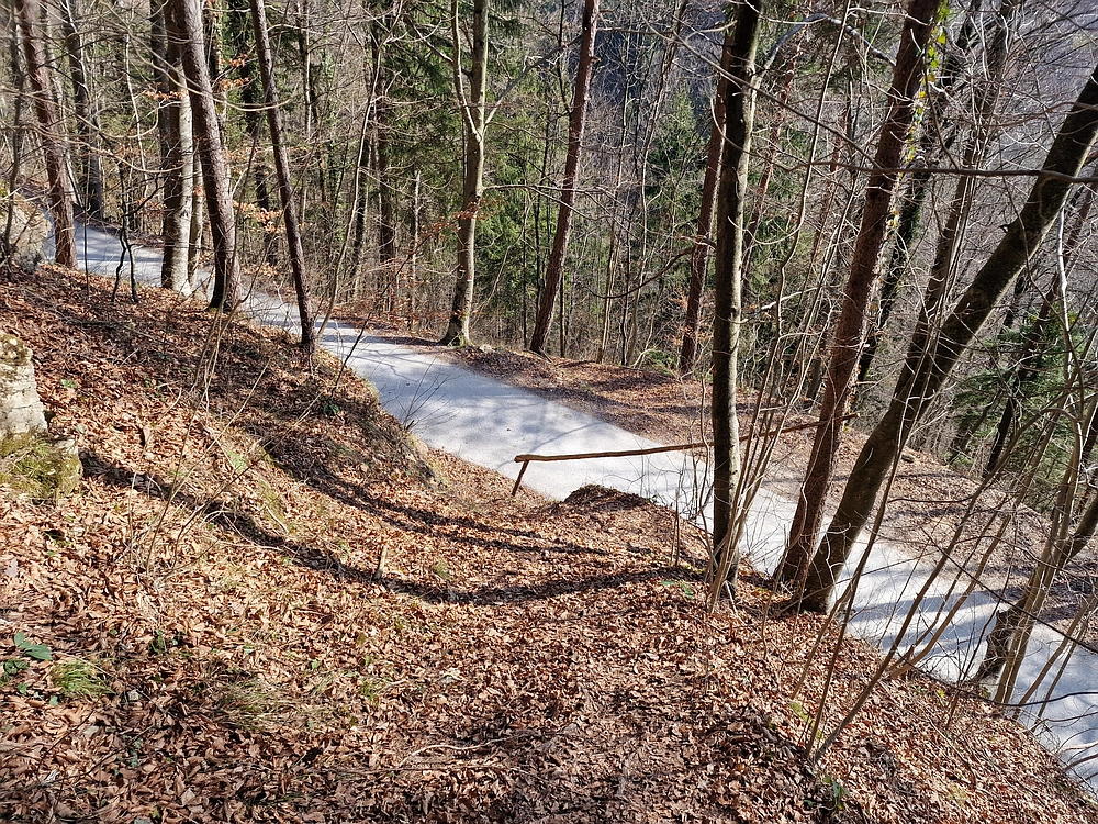 Kislica, Špičasti vrh, 8. 3. 2026