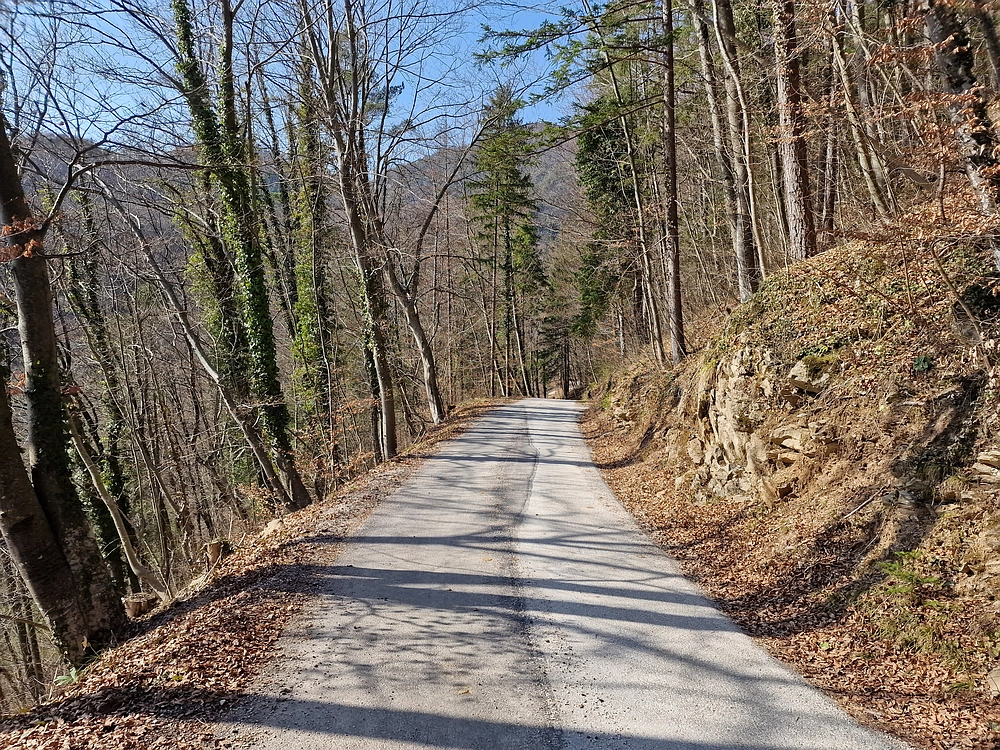 Kislica, Špičasti vrh, 8. 3. 2026