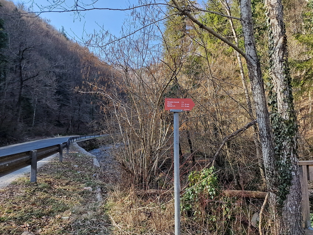 Kislica, Špičasti vrh, 8. 3. 2026