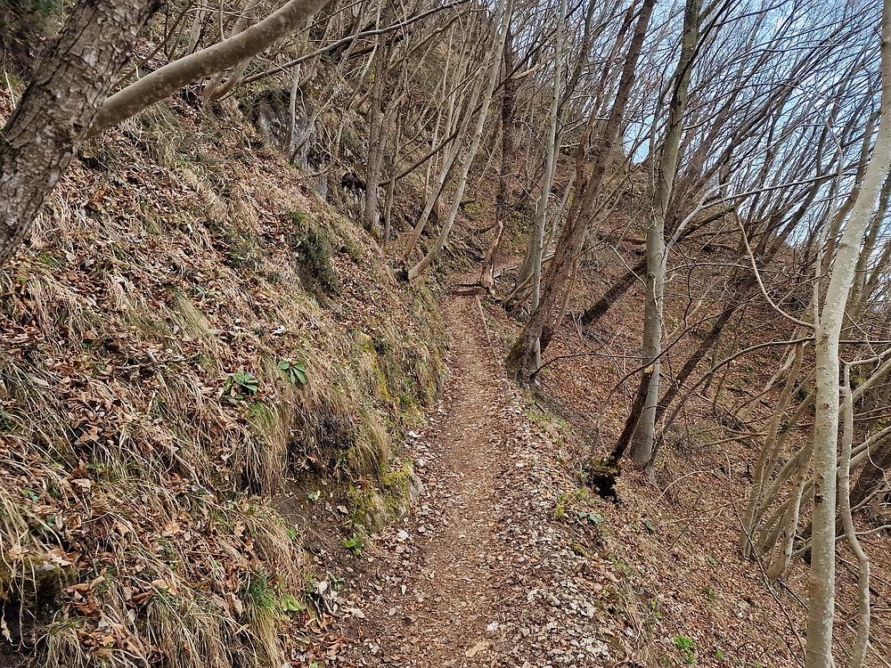 Hum nad Laškim, 14. 3. 2026