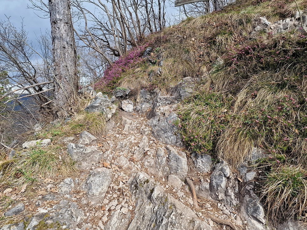 Hum nad Laškim, 14. 3. 2026