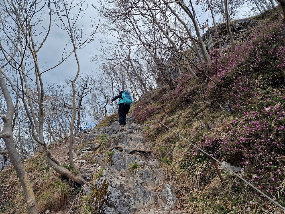 Hum nad Laškim, 14. 3. 2026