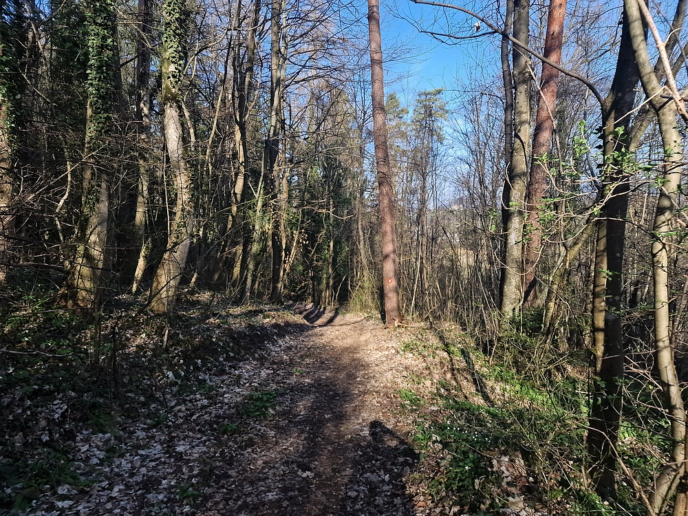 Stolpnik, 15. 3. 2026