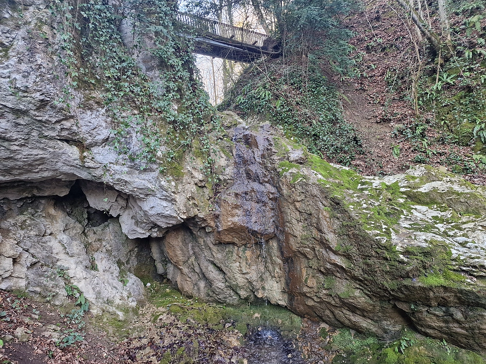 Stolpnik, 15. 3. 2026