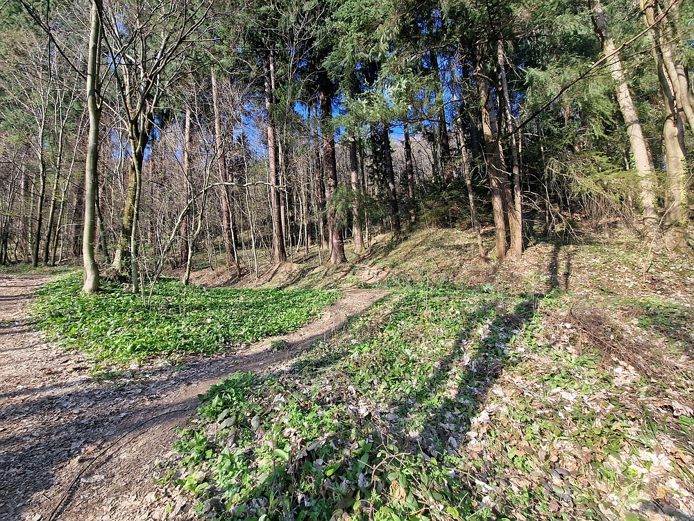 Stolpnik, 15. 3. 2026