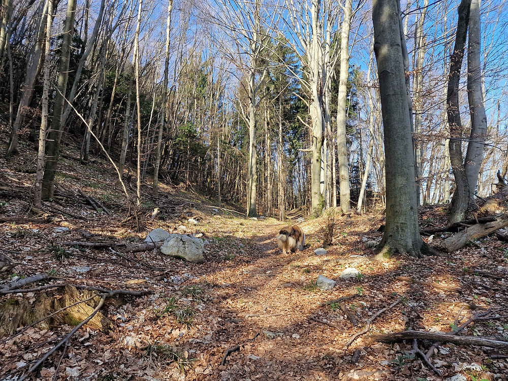 Stolpnik, 15. 3. 2026