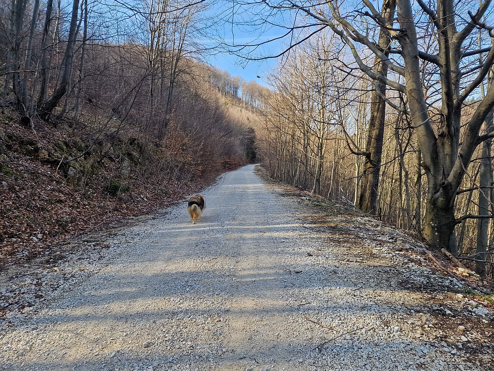 Stolpnik, 15. 3. 2026