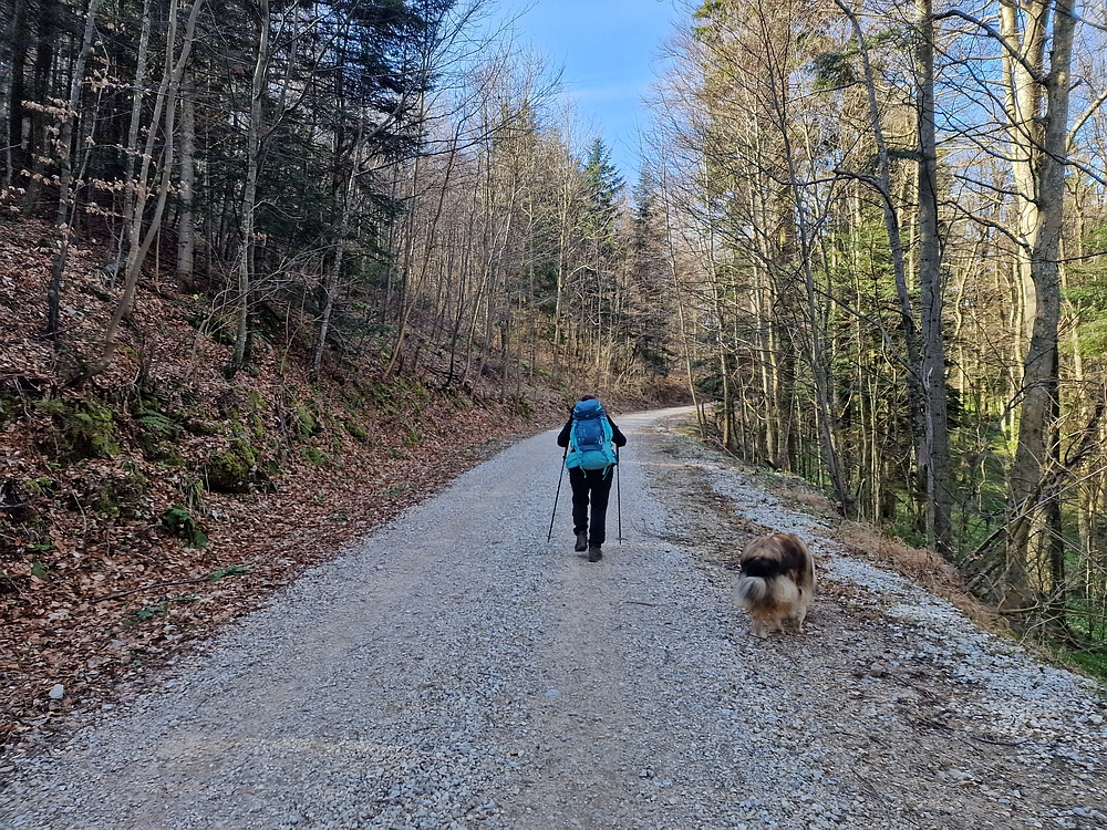 Stolpnik, 15. 3. 2026