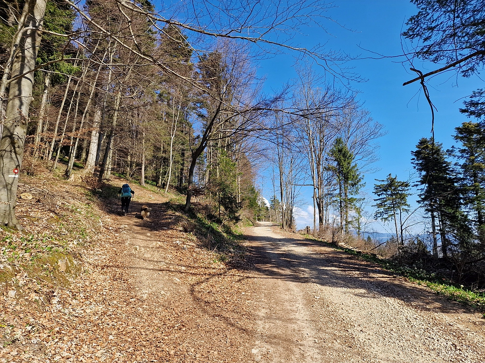 Stolpnik, 15. 3. 2026