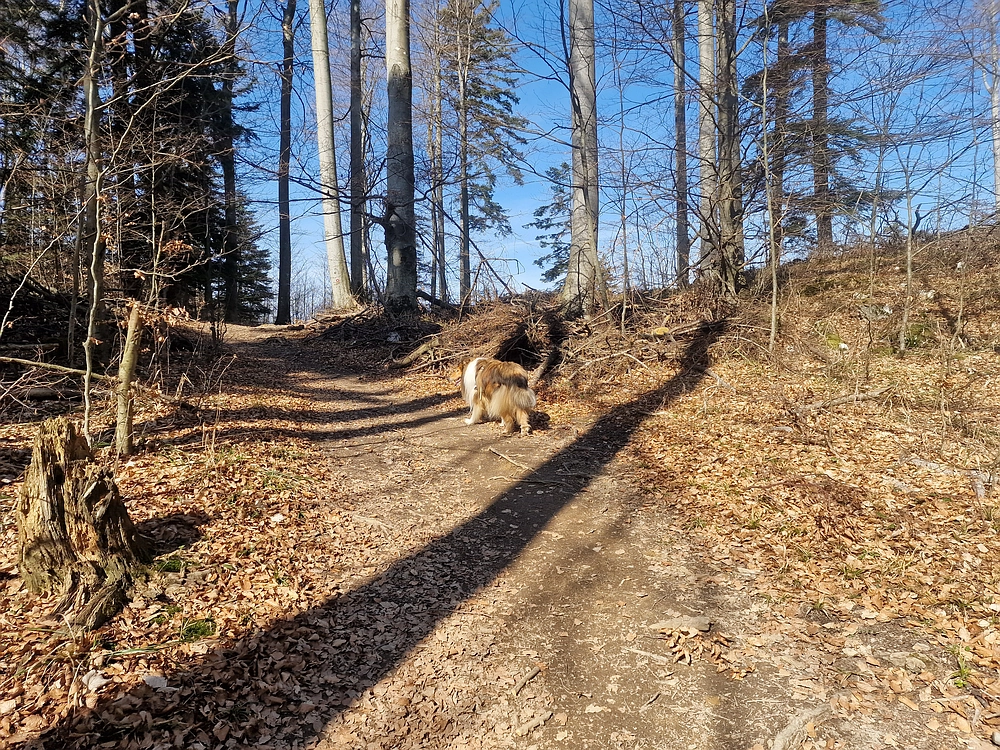 Stolpnik, 15. 3. 2026