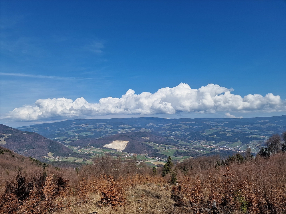 Stolpnik, 15. 3. 2026