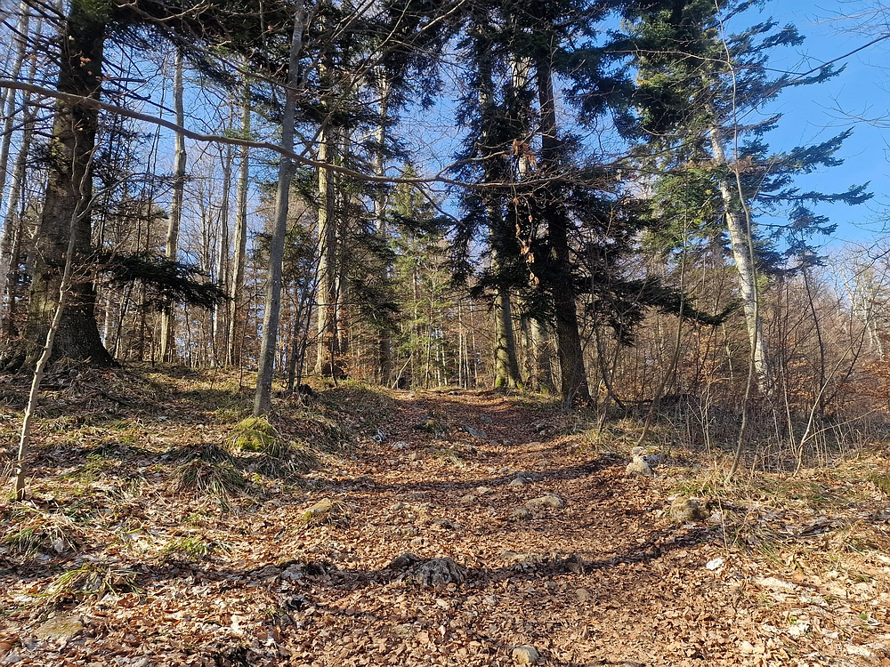 Stolpnik, 15. 3. 2026