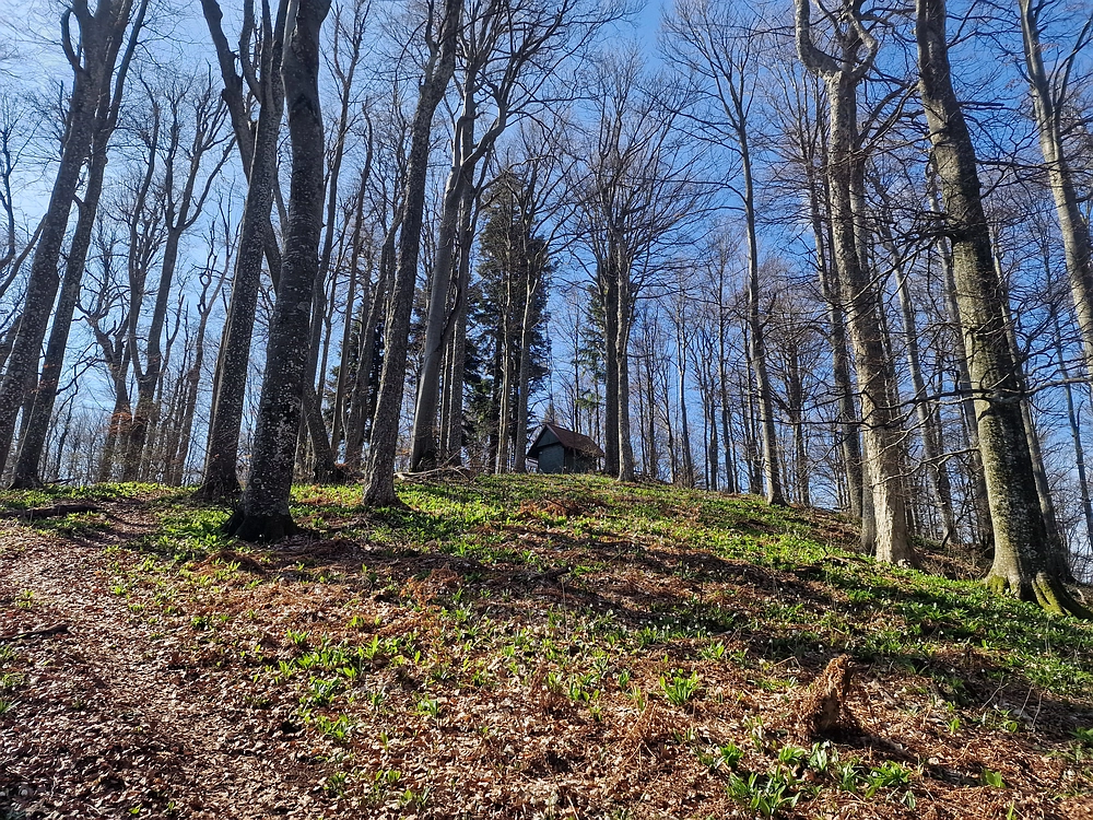 Stolpnik, 15. 3. 2026