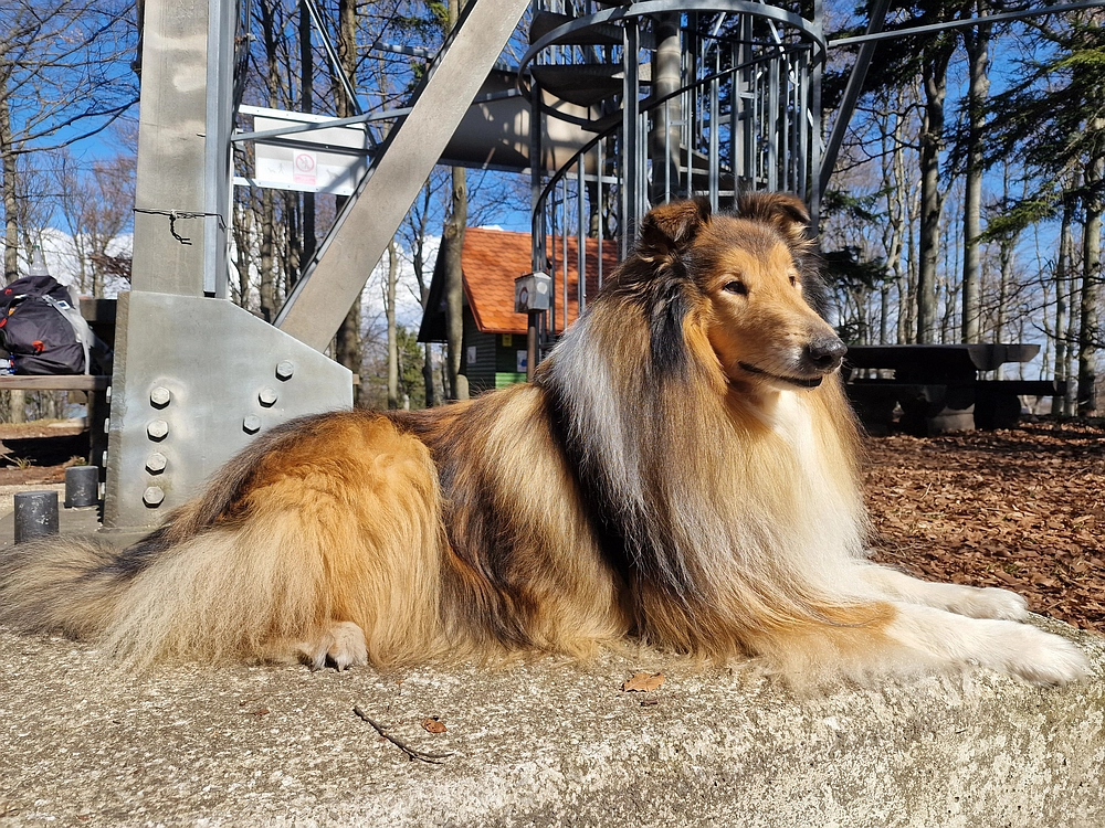 Stolpnik, 15. 3. 2026