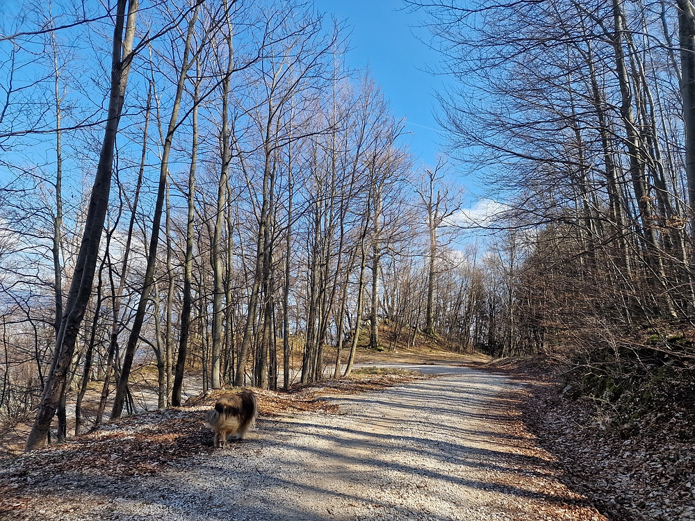 Stolpnik, 15. 3. 2026