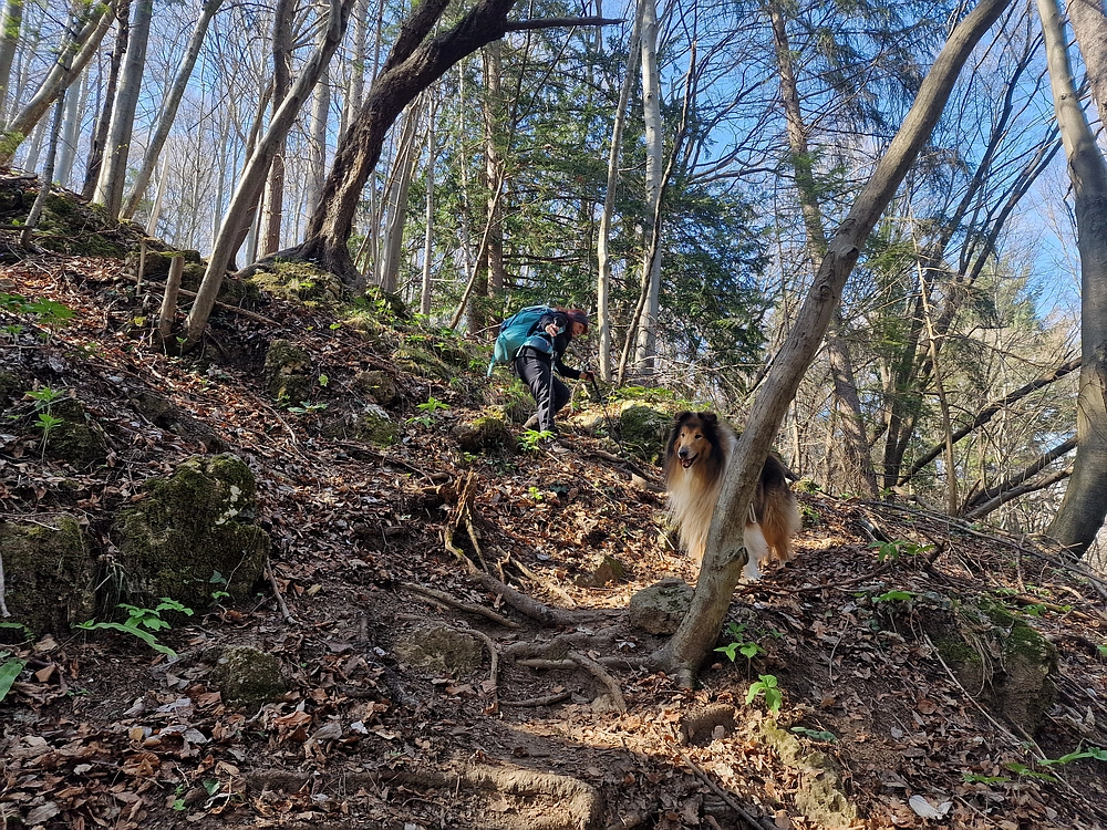 Stolpnik, 15. 3. 2026