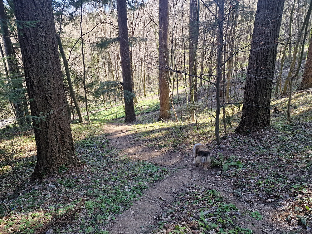 Stolpnik, 15. 3. 2026