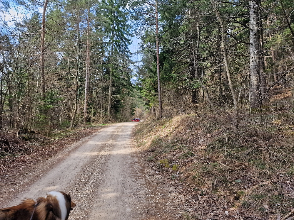 Slivnica, 22. 3. 2026