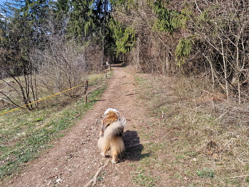 Slivnica, 22. 3. 2026