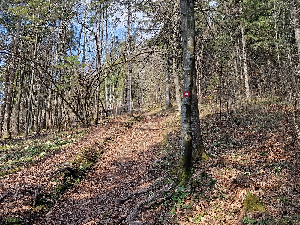 Slivnica, 22. 3. 2026