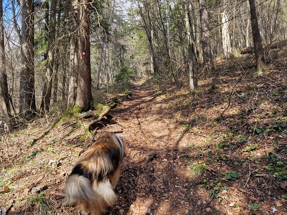 Slivnica, 22. 3. 2026