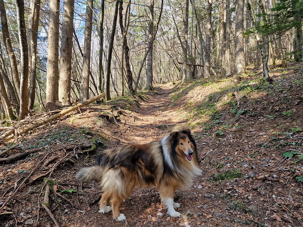 Slivnica, 22. 3. 2026