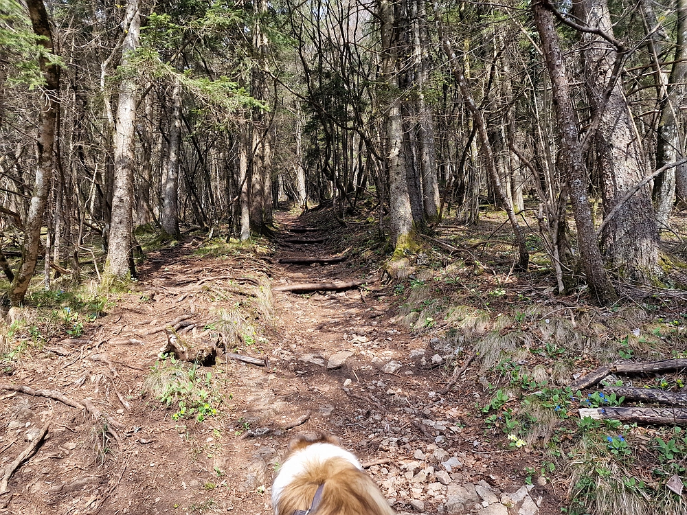 Slivnica, 22. 3. 2026