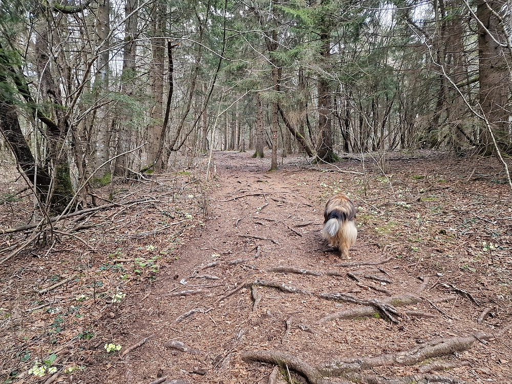 Slivnica, 22. 3. 2026