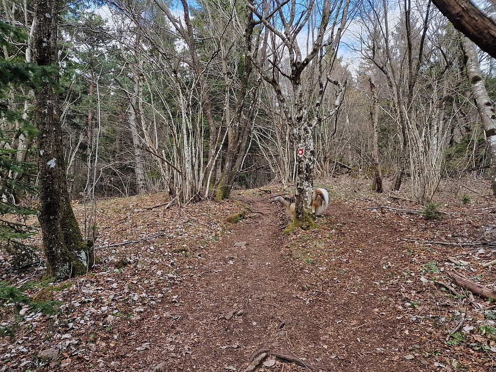 Slivnica, 22. 3. 2026