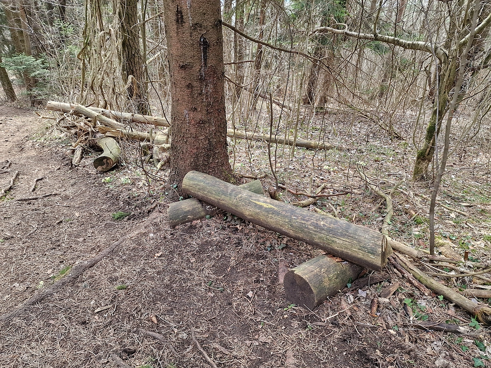 Slivnica, 22. 3. 2026