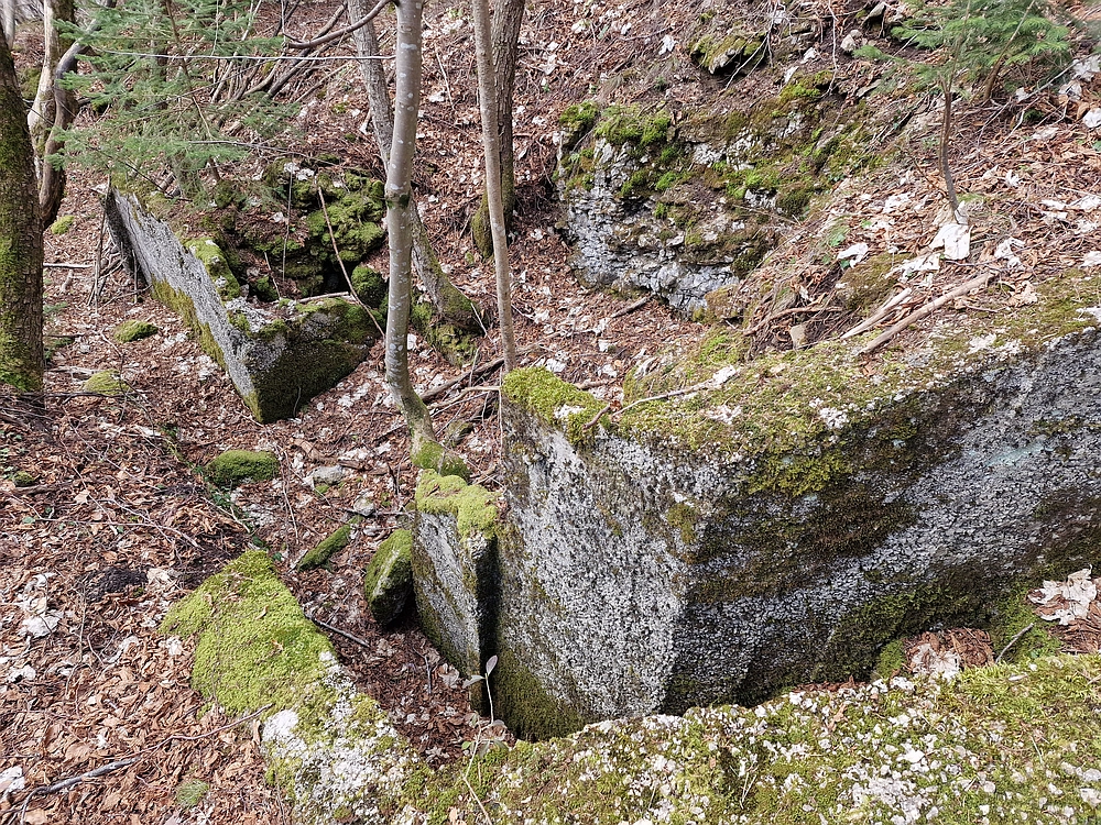 Slivnica, 22. 3. 2026